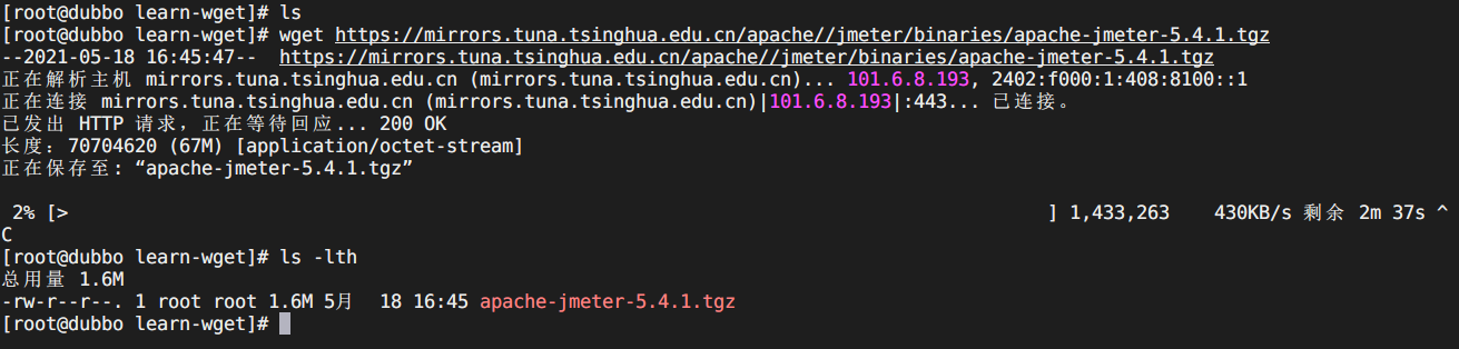 wget20210518164625.png