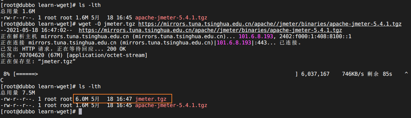 wget20210518164737.png