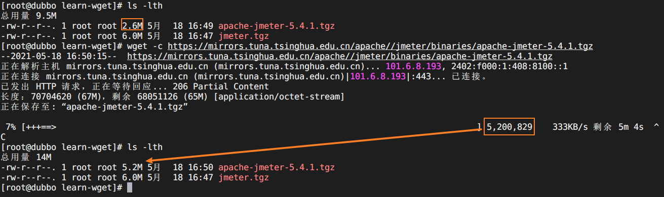 wget20210518165105.png