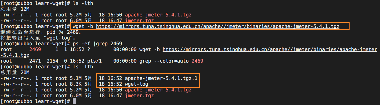 wget20210518165316.png