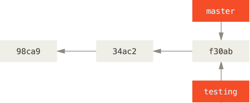 twobranches.png